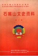 石嘴山文史资料 第十辑