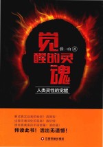 觉醒的灵魂 人类灵性的觉醒