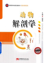 动物解剖学 案例版