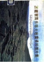 西藏察隅当雄大地震资料图片集