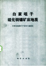 白家咀子硫化铜镍矿床地质