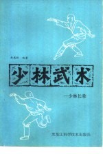 少林武术 少林长拳