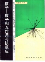 核子-核子相互作用与核反应