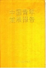 中国青年发展报告