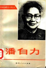 潘自力