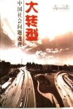 大转型-中国社会问题透视