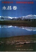 百县市经济社会调查永昌卷