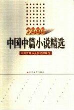 中国短篇小说精选 2000