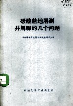 碳酸盐地层测井解释的几个问题