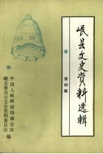 岷县文史资料选辑 第四辑