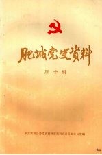 肥城党史资料 第十辑