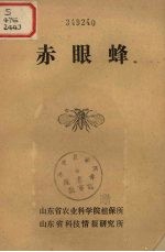 赤眼峰