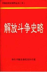 解放斗争史略