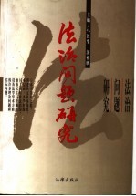 法治问题研究