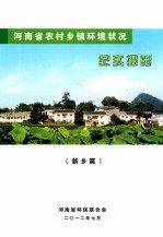 河南省农村乡镇环境状况 纪实摄影 新乡篇