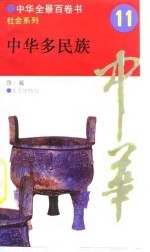 中华全景百卷书-社会系列-中华多民族 11