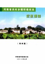 河南省农村乡镇环境状况 纪实摄影 郑州篇