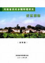 河南省农村乡镇环境状况 纪实摄影 洛阳篇