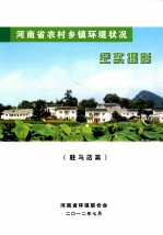 河南省农村乡镇环境状况 纪实摄影 驻马店篇