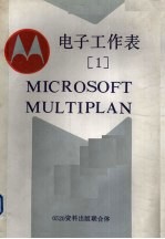电子工作表 1