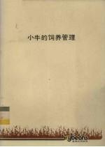 小牛的饲养管理