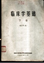 临床学基础 下 试用本