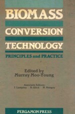 Biomass conversion technology : principles and practice