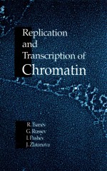 Replication and transcription of chromatin