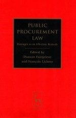 PUBLIC PROCUREMENT LAW DAMAGES AS EFFECTIVE REMEDY