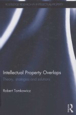 INTELLECTUAL PROPERTY OVERLAPS THEORY