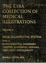 Musculoskeletal System: Developmental Disorders