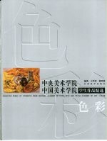 中央美术学院中国美术学院学生作品精选 色彩