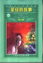 圣经的故事 青少版 缩写本
