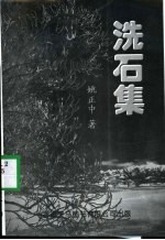 洗石集