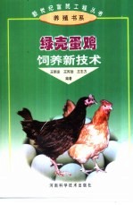 绿壳蛋鸡饲养新技术