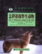 怎样拍摄野生动物