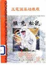 工笔画基础教程 猴 兔 松鼠
