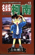 名侦探柯南 13