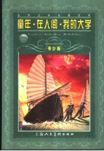 童年 青少版 缩写本 在人间 我的大学