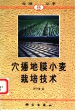 穴播地膜小麦栽培技术