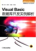 Visual Basic数据库开发实例解析