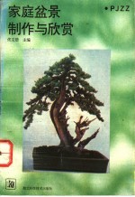 家庭盆景制作与欣赏