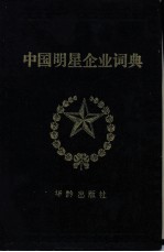 中国明星企业词典