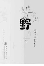 野百合