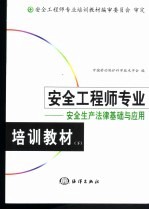 安全工程师专业培训教材 下 安全生产法律基础与应用
