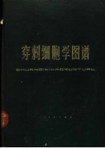 穿刺细胞学图谱