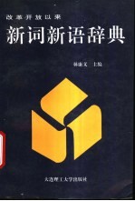 新词新语辞典