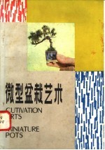 微型盆栽艺术