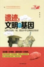 遗迹,文明的基因 它所表达的一切,都是中华文明的自辩词!