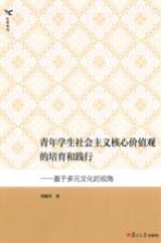 青年学生社会主义核心价值观的培育和践行 基于多元文化的视角